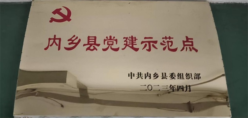 喜報！華?？萍极@評“內(nèi)鄉(xiāng)縣黨建示范點”